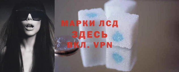 индика Приозерск