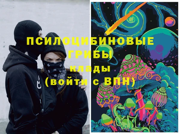 крисы Балахна