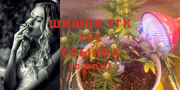 крисы Балахна