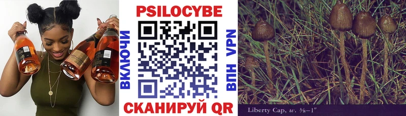 купить цена Дальнегорск Псилоцибиновые грибы ЛСД